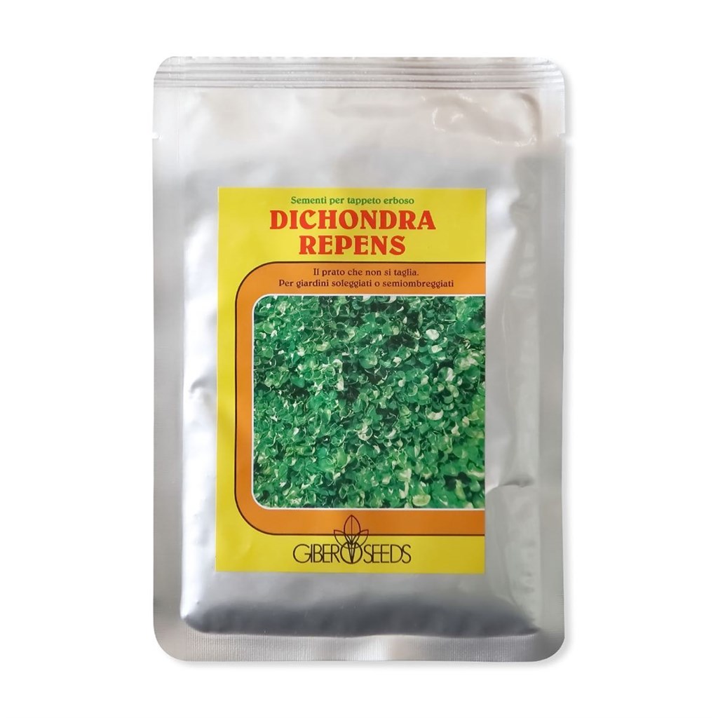 SEME GIBER SEEDS DICONDRA REPENS - KG 0,1